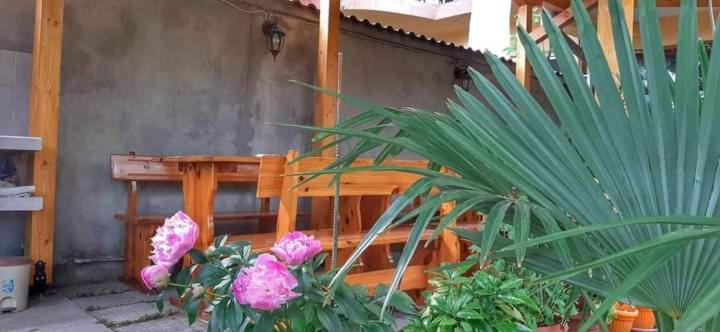 Family Hotel Bohemi II Primorsko Exterior photo